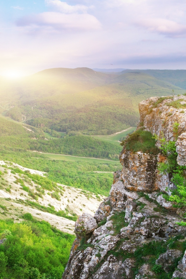 Лесная долина