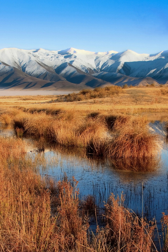 Болото и горы