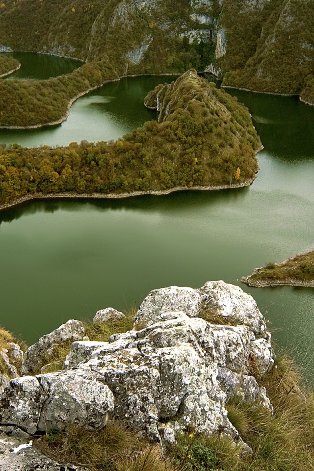 Извилистая река