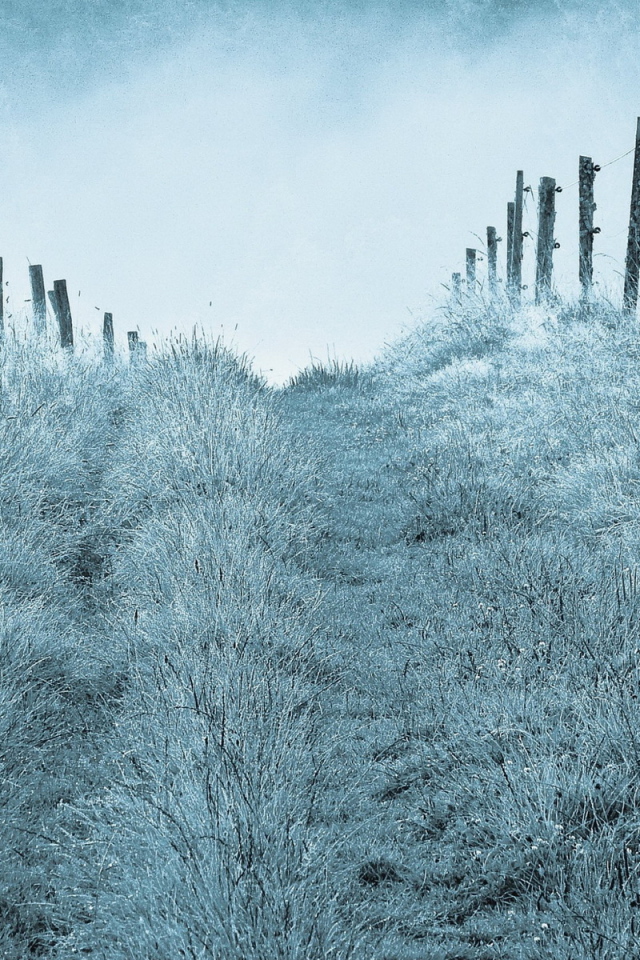 Туманным утром