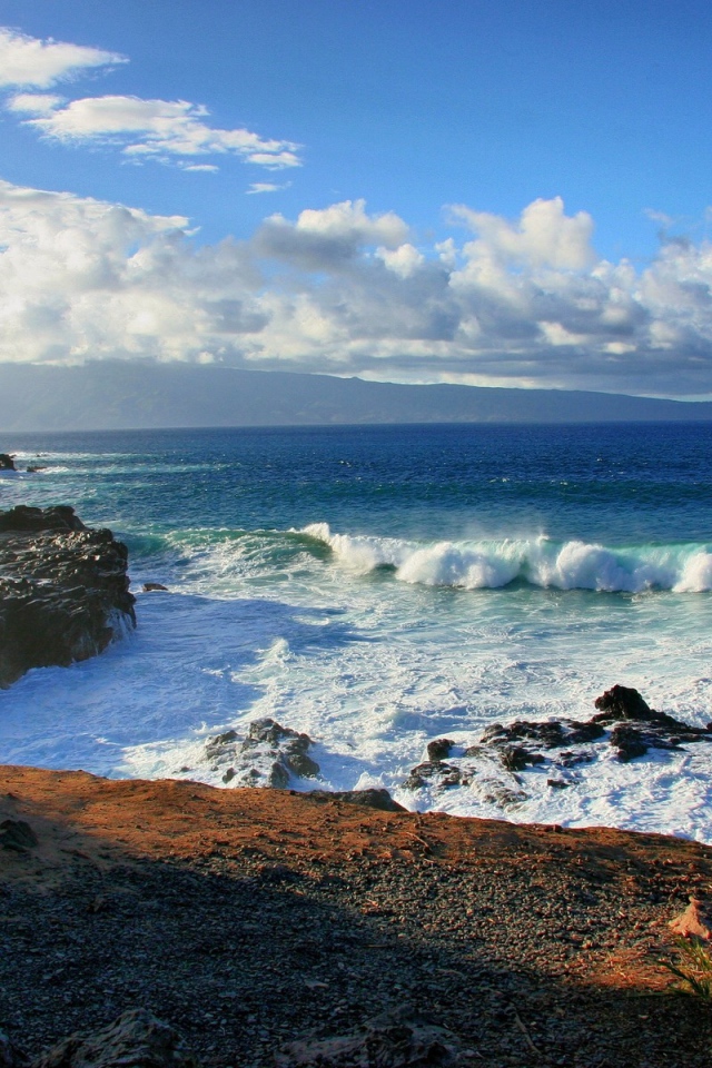 Берег океана