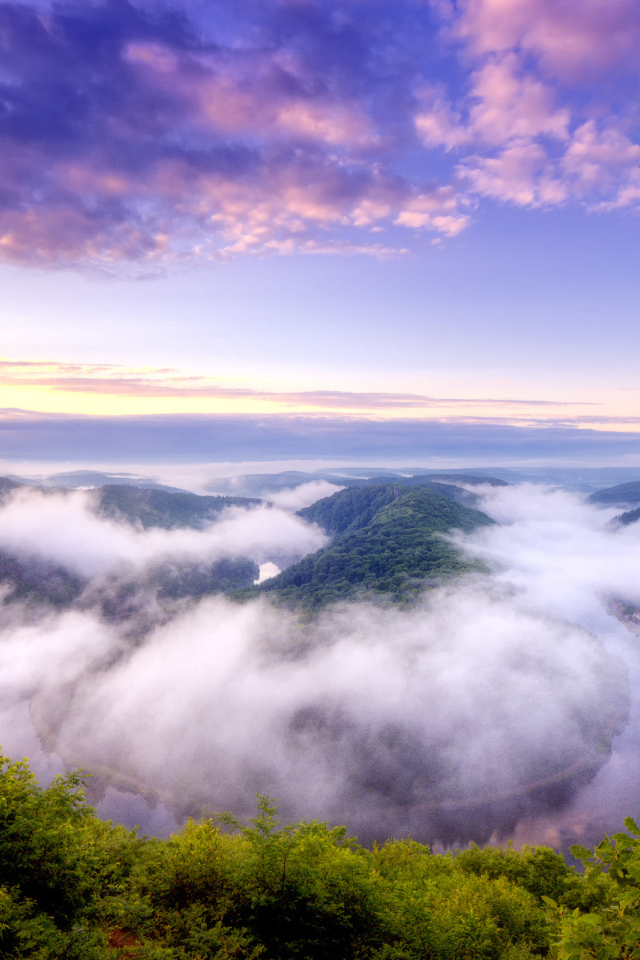 Река в тумане