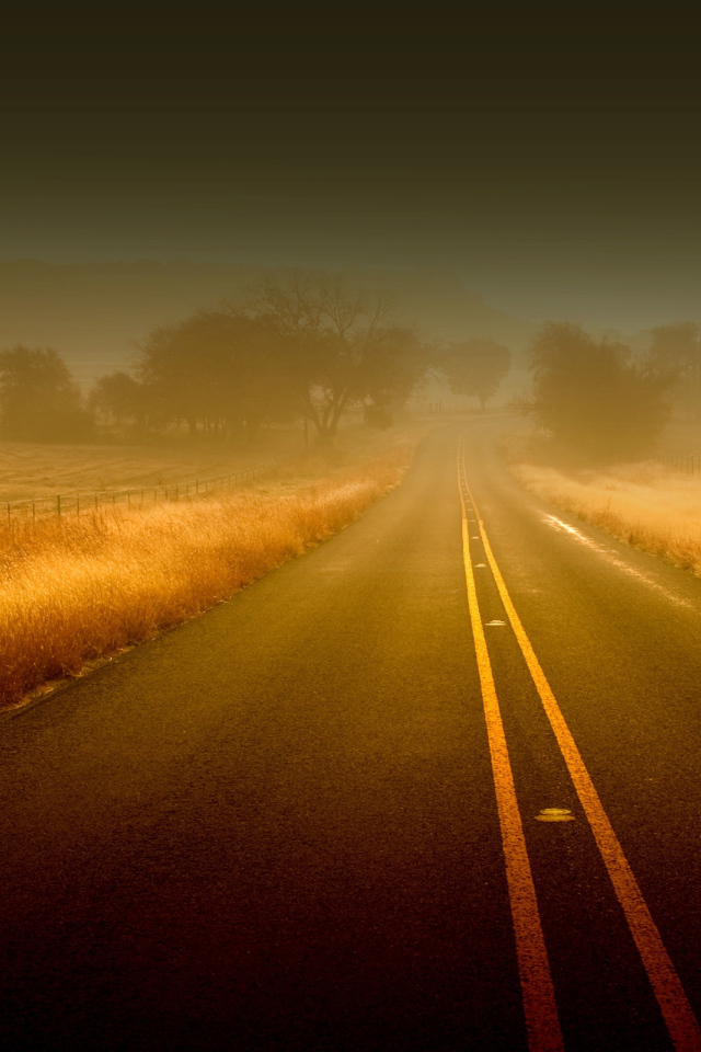 Дорога вперед