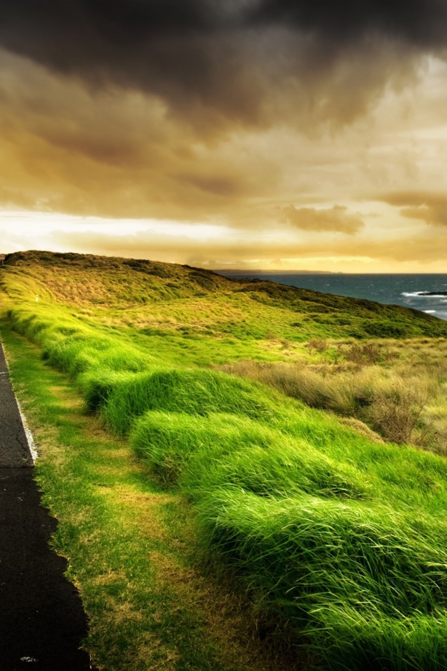 Дорога вдоль берега