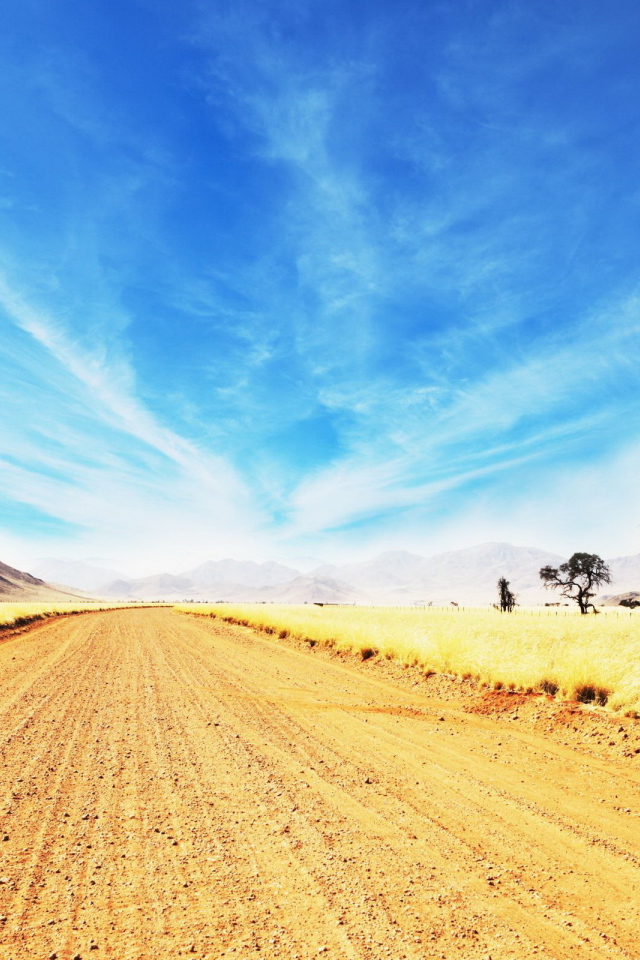 Дорога в саванне