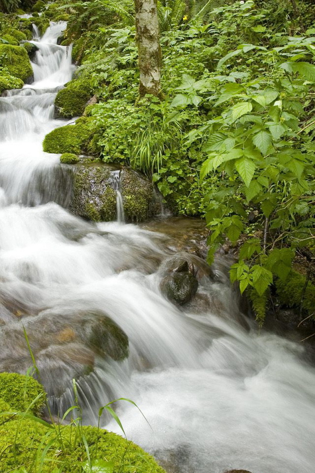 Маленький ручей