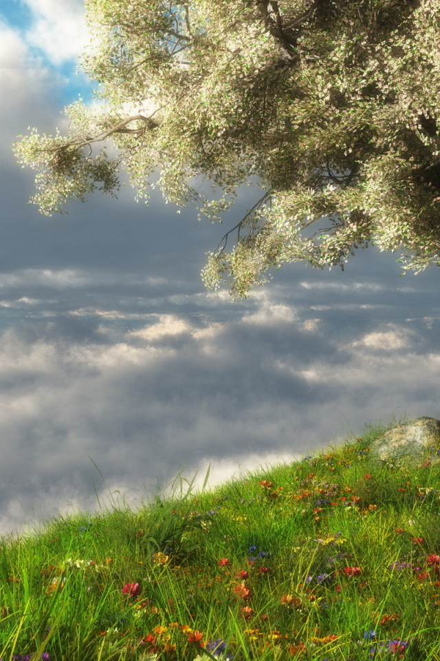 Весеннее цветение