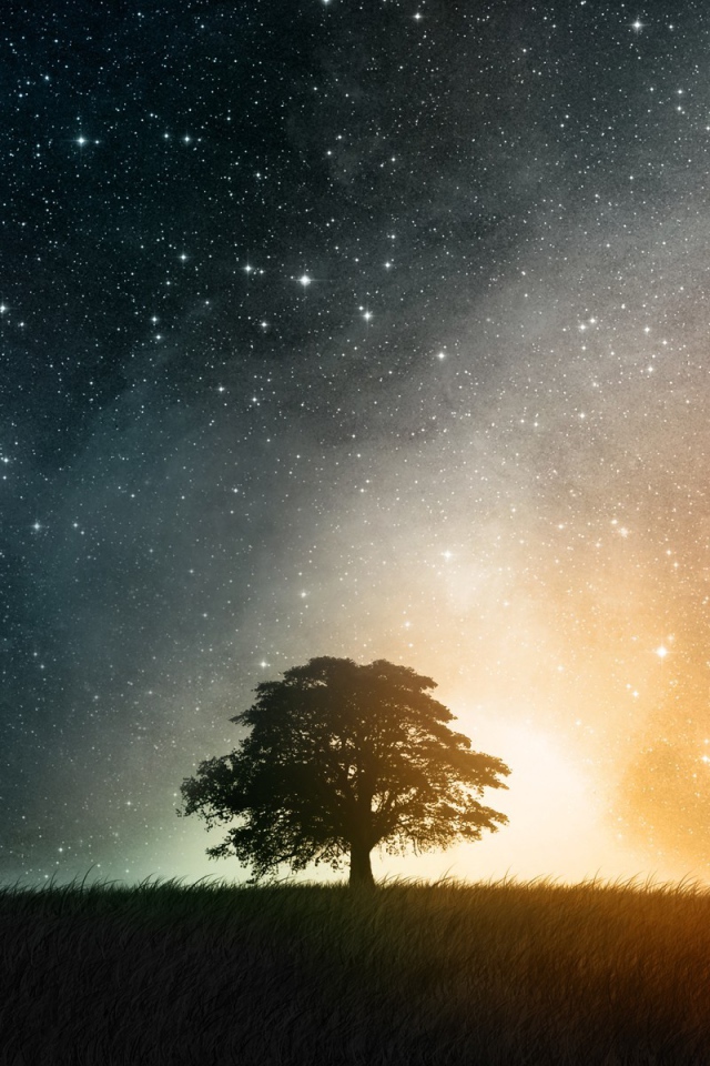 Звездная ночь