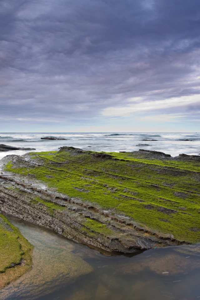 Камни у берега