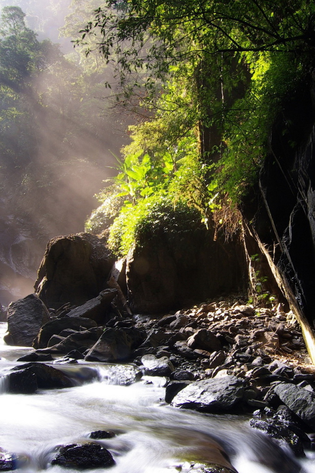 Ручей, лес, камни
