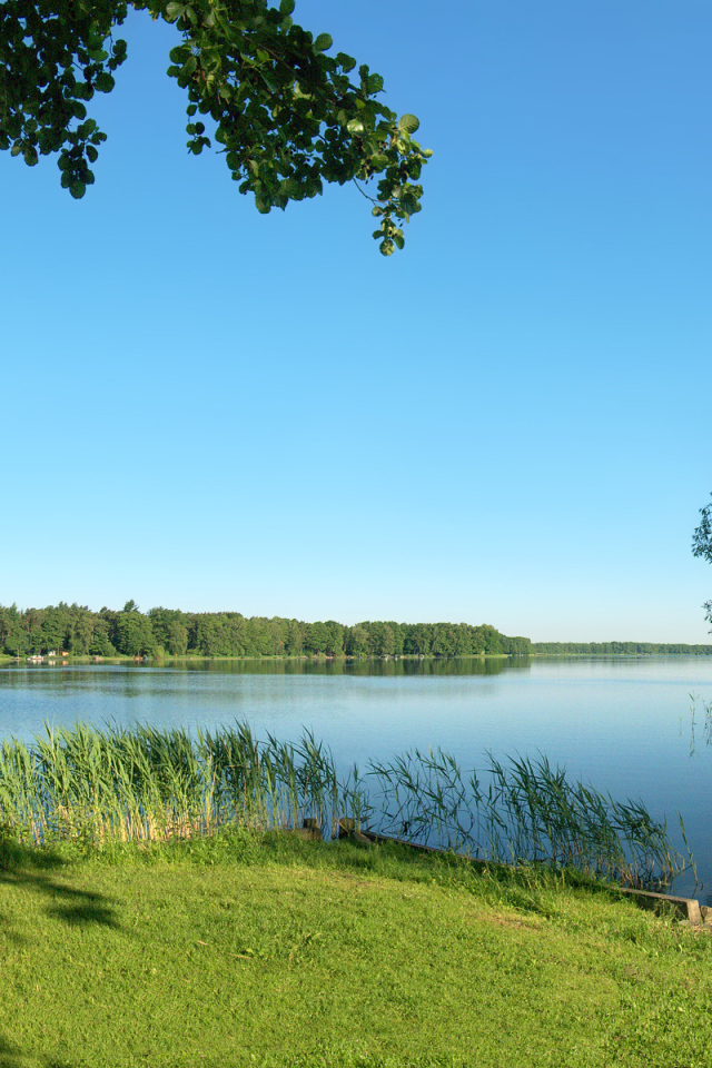 Летняя благодать