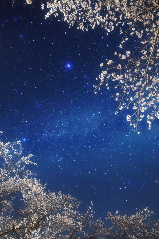 Млечный путь