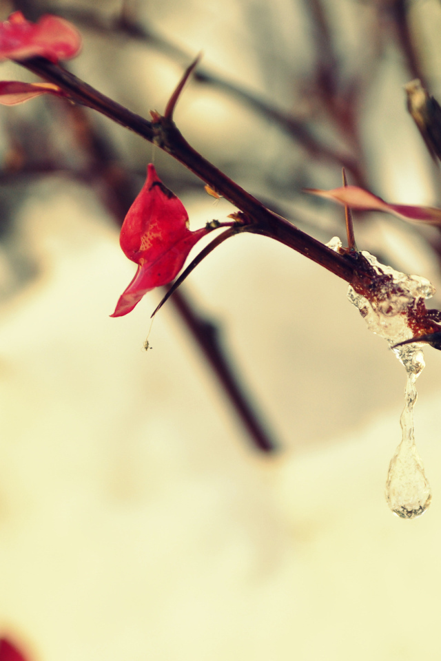 Замерзшая капля