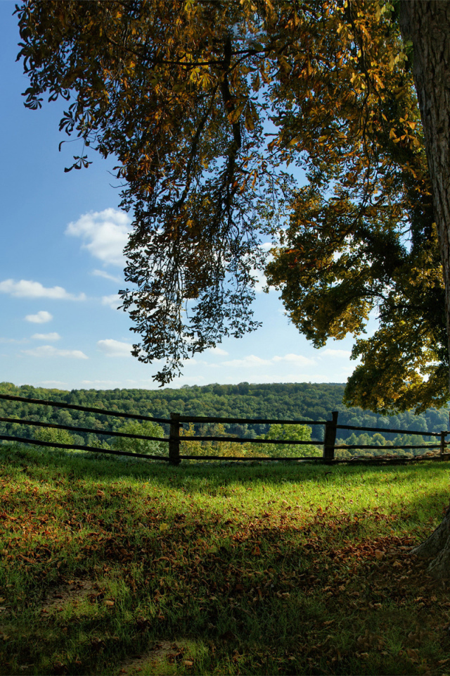 Дом на вершине холма