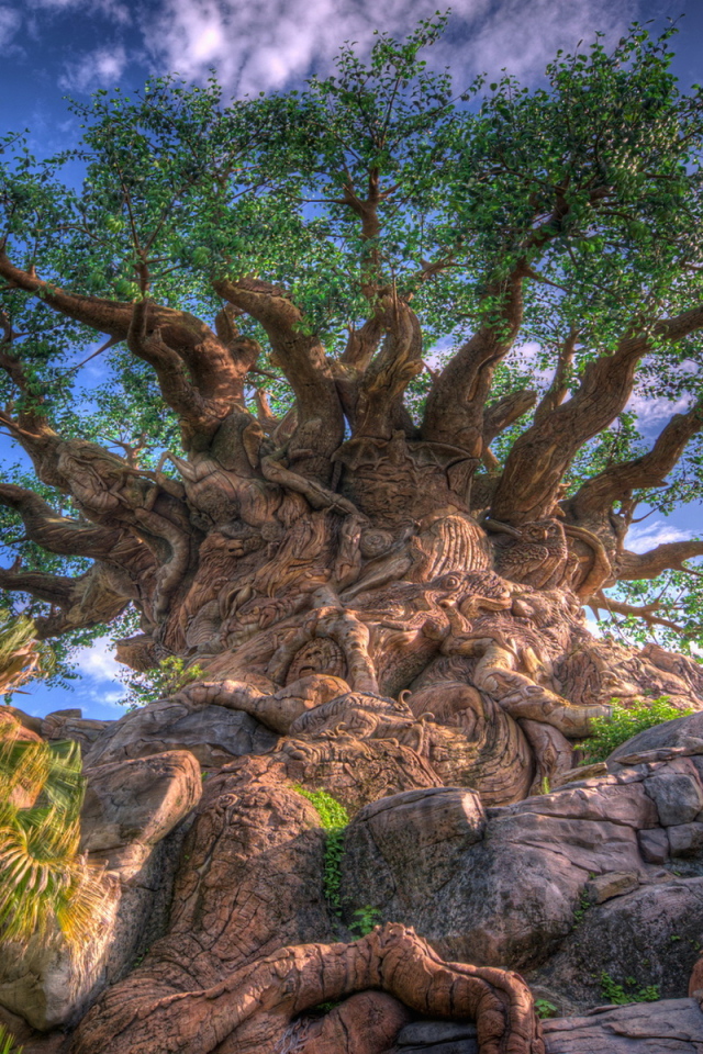 Дерево жизни