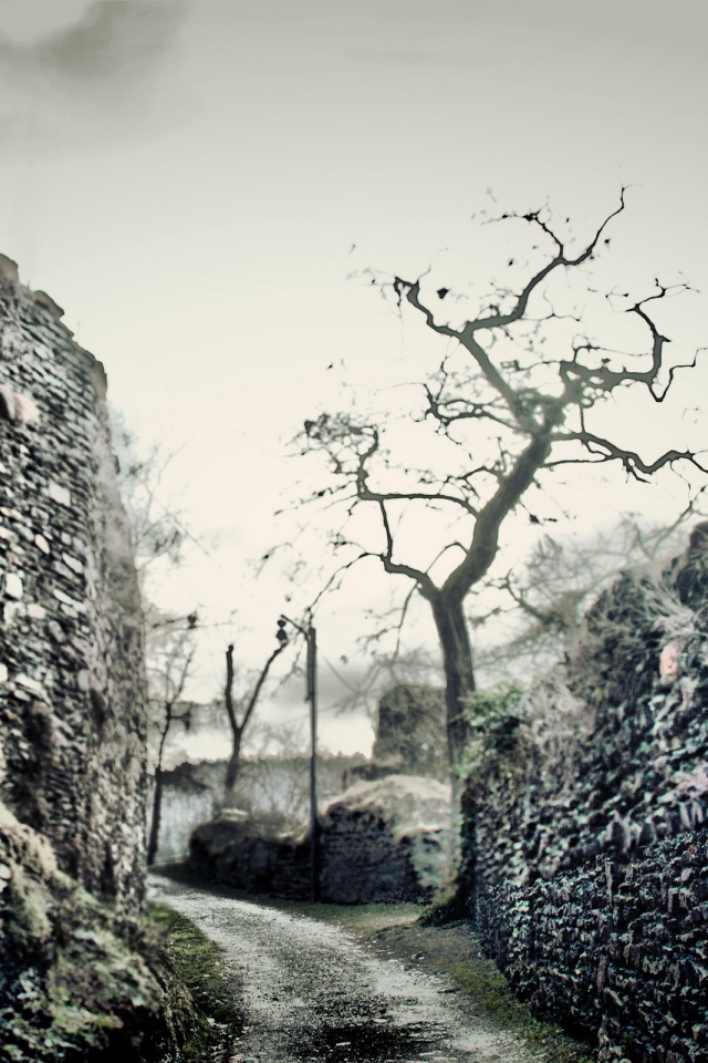 Дорожка между стен