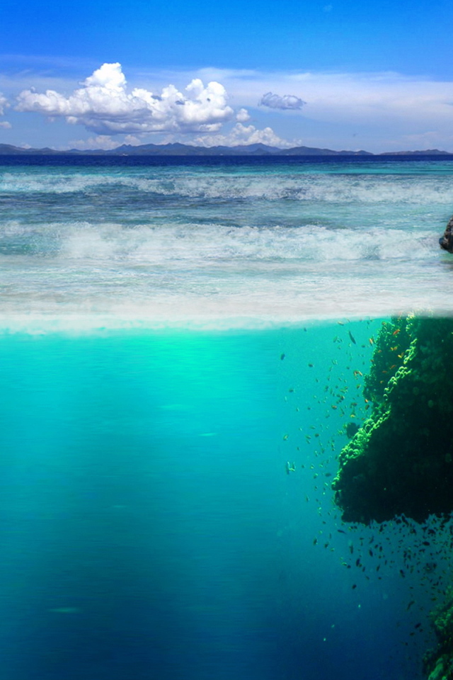 Подводный мир