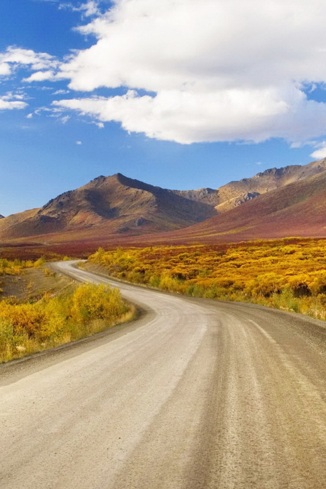 Извилистая дорога