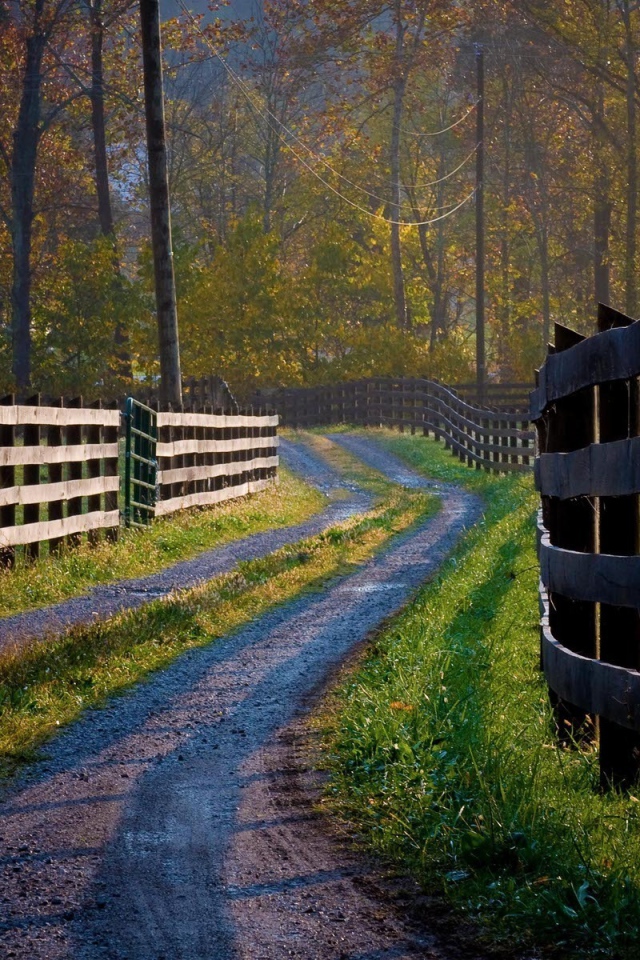 Деревянные заборы