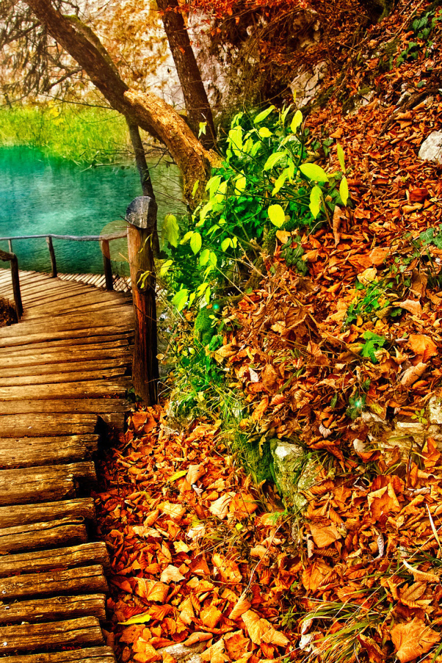 Дорожка к озеру