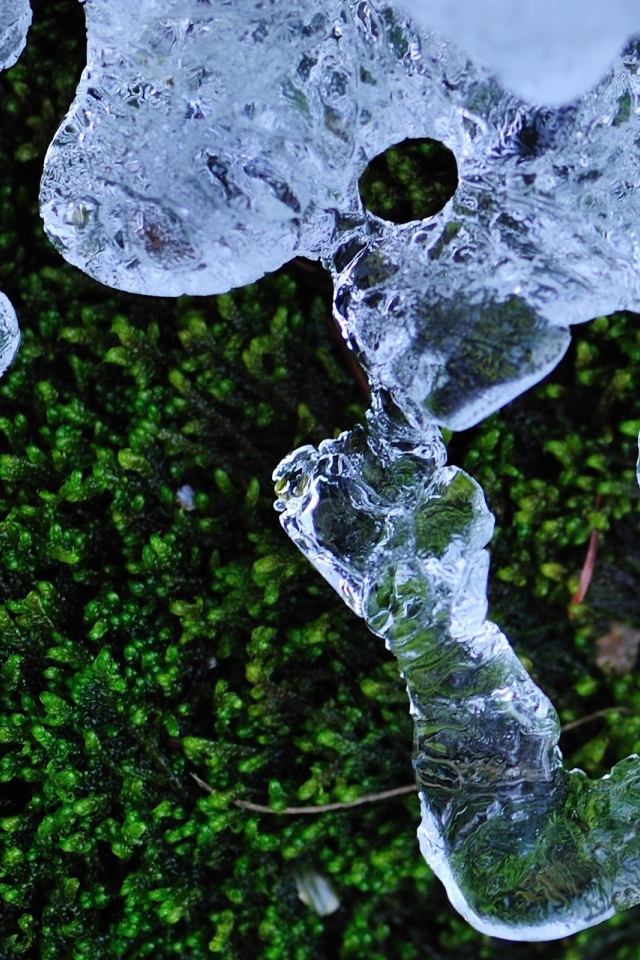 Трава и лед