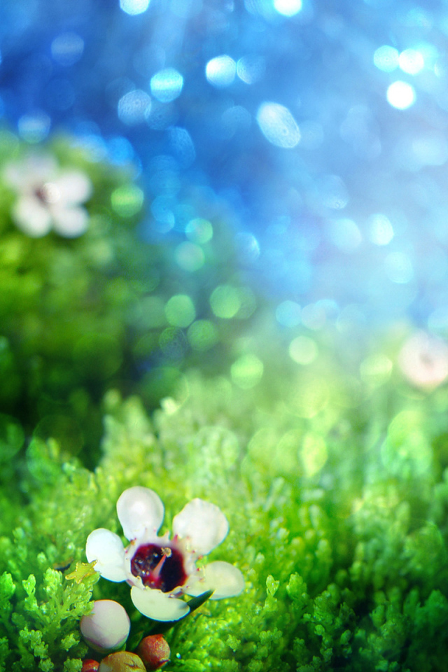 Зеленая трава