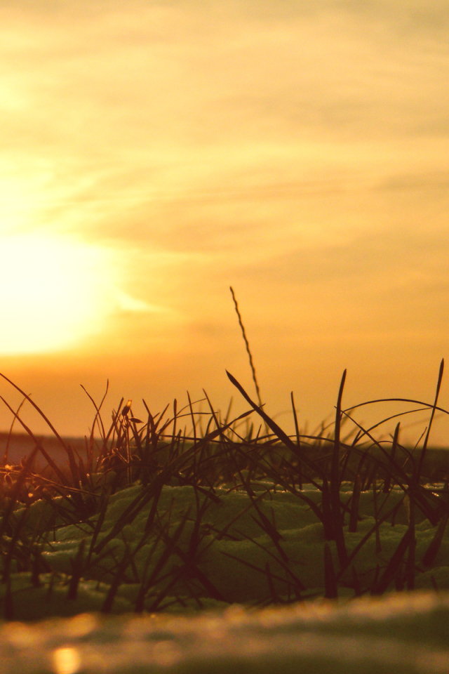 Сквозь снег