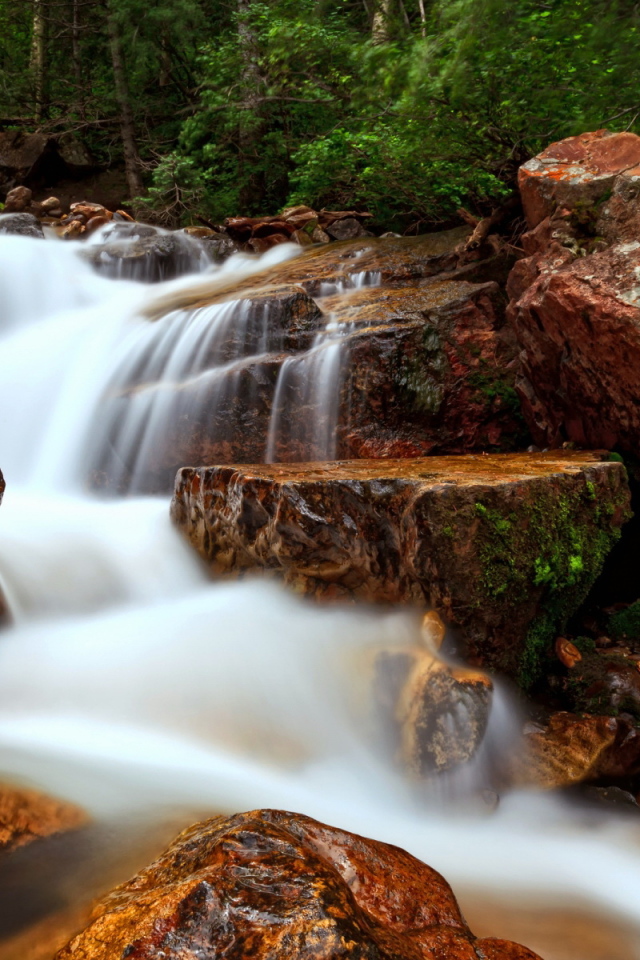 Лесной ручей