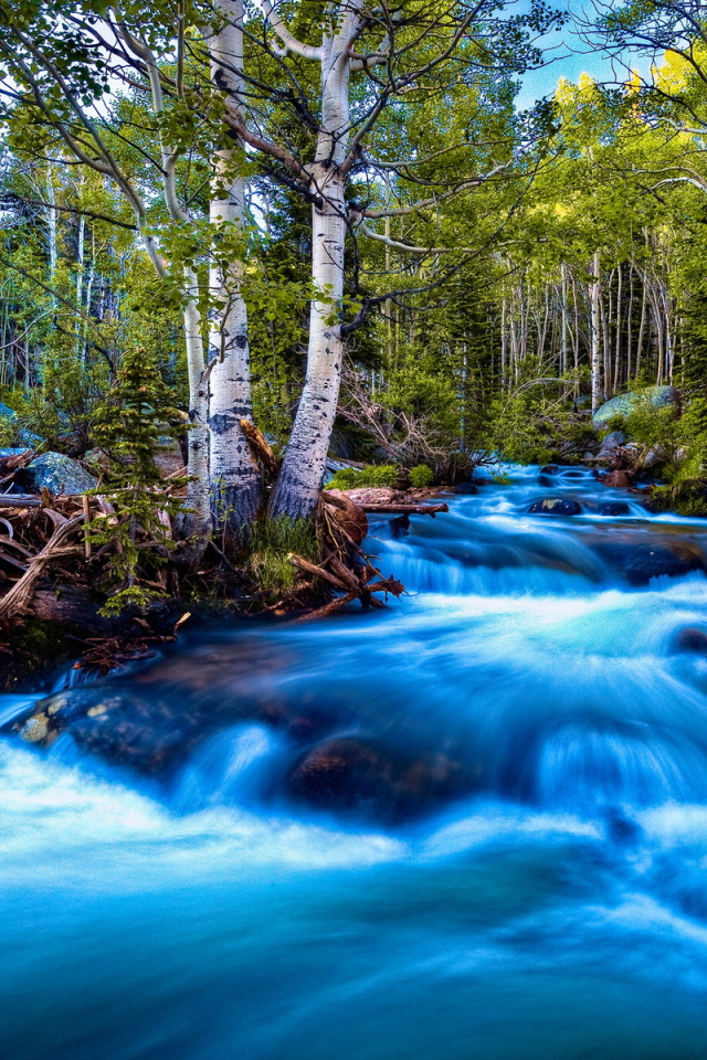 Речка в березах