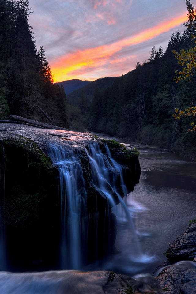Речка в лесу
