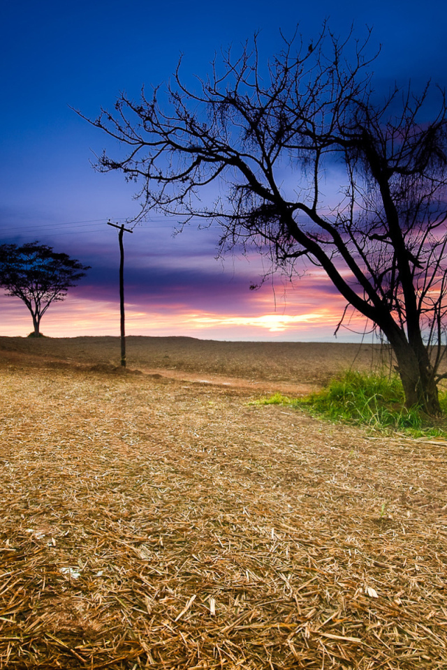 Закат в поле