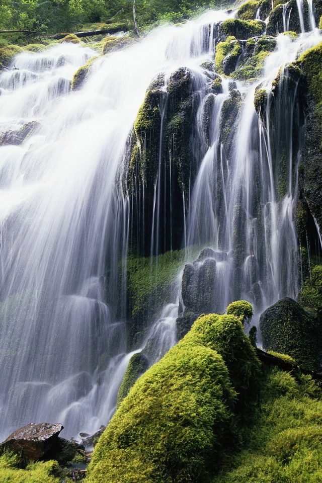 Красивый лесной водопад