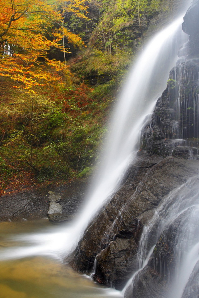 Водопад в лесу
