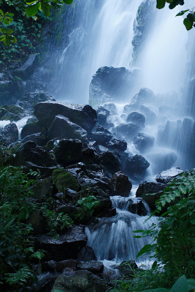 Лесной водопад