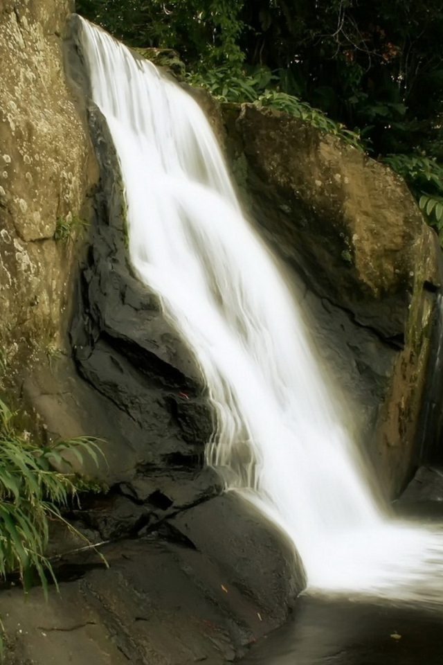 Маленький лесной водопад
