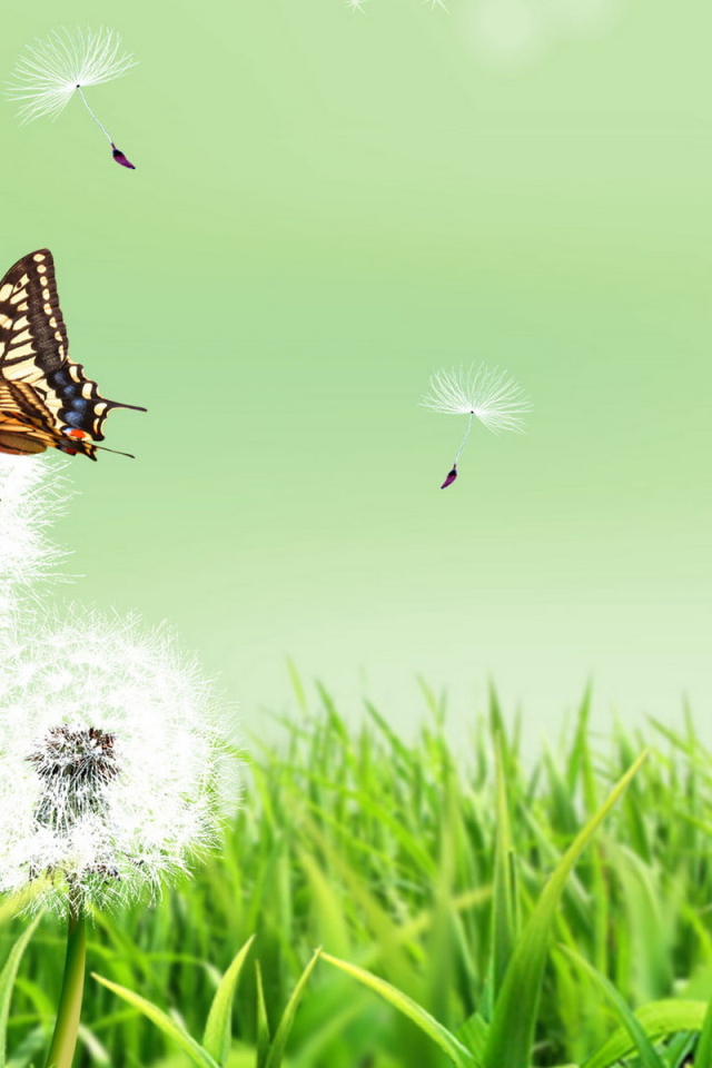 Бабочка и одуванчики