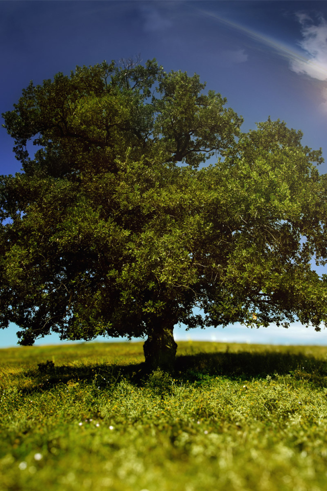 Мир фантазии