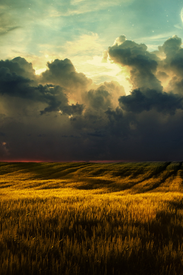 Золотое поле