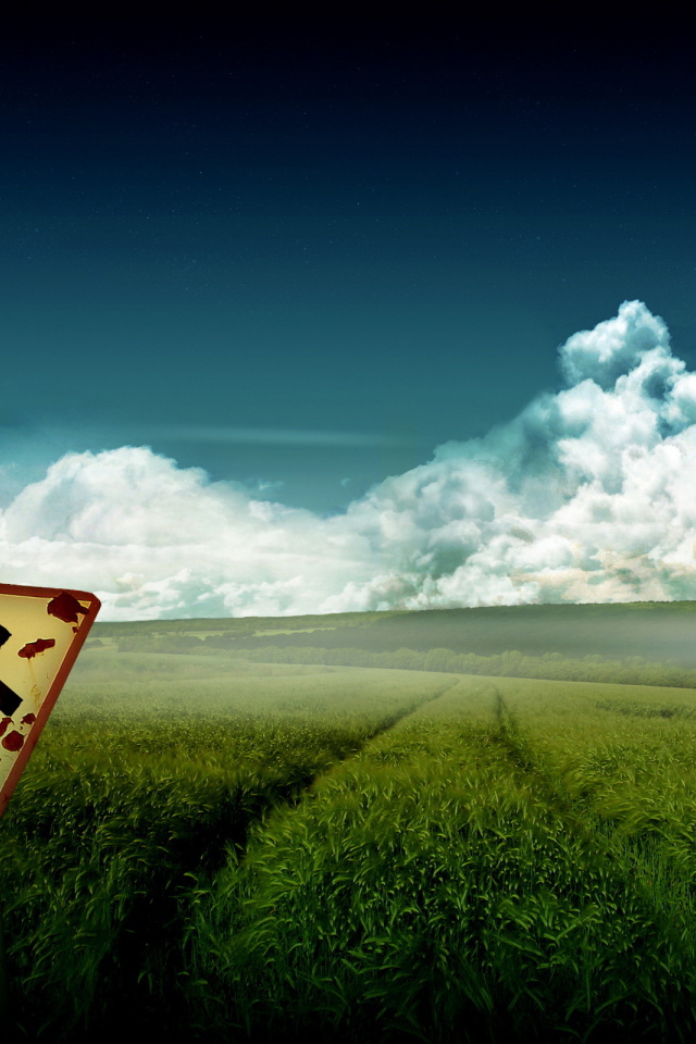 Зеленое поле