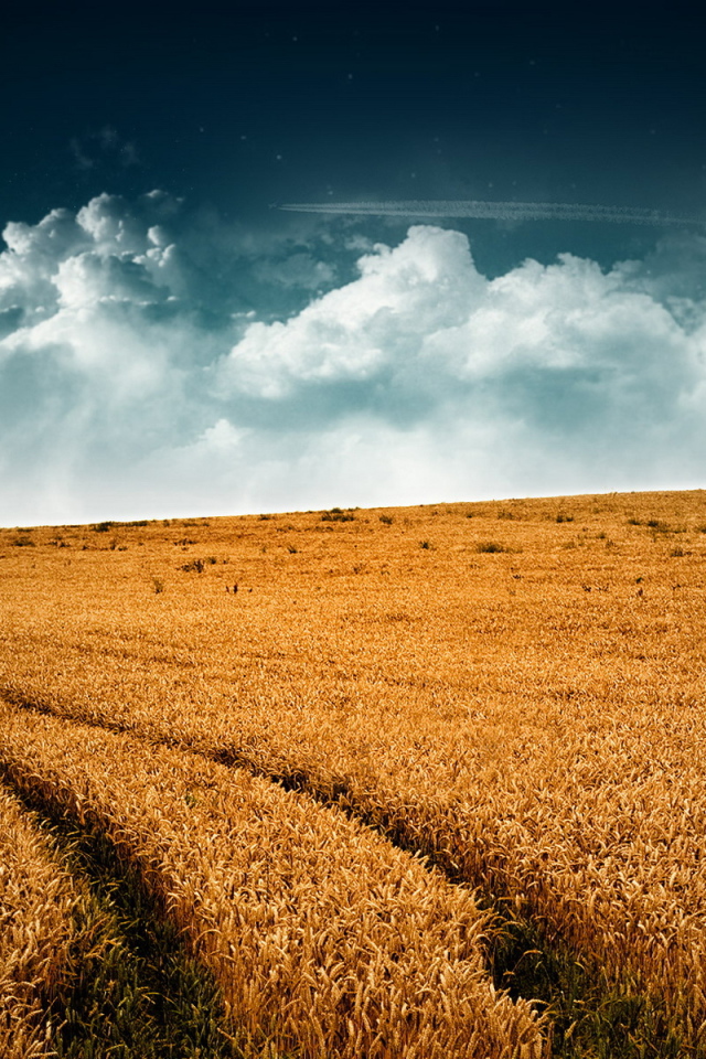 Невероятное небо