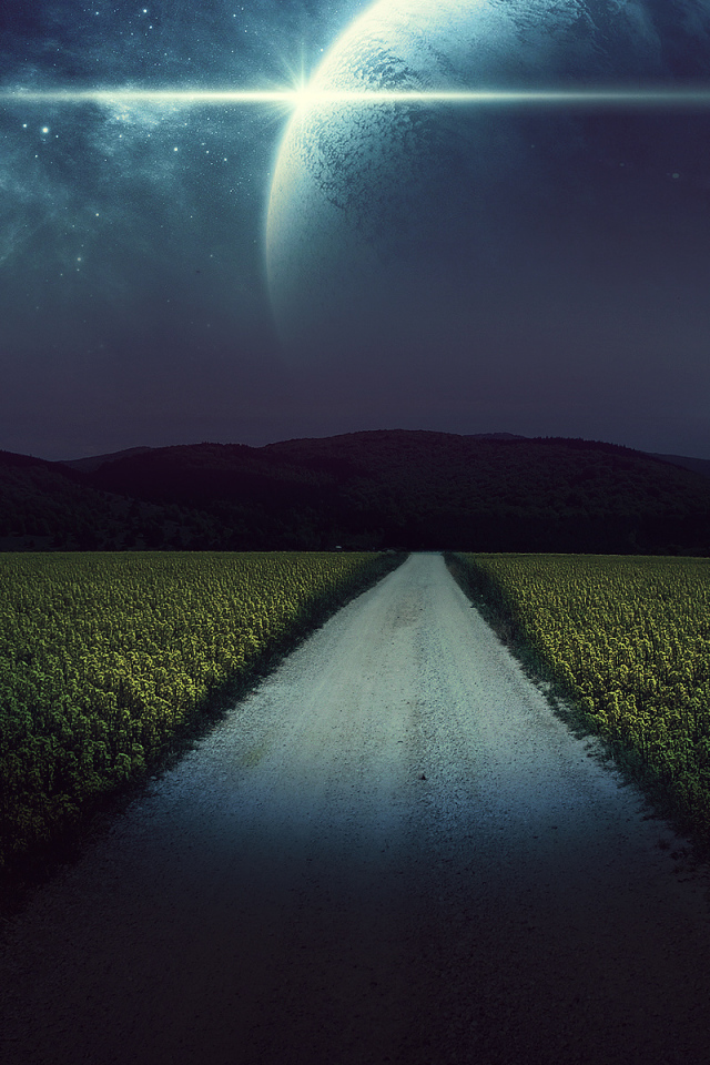 Ночная дорога