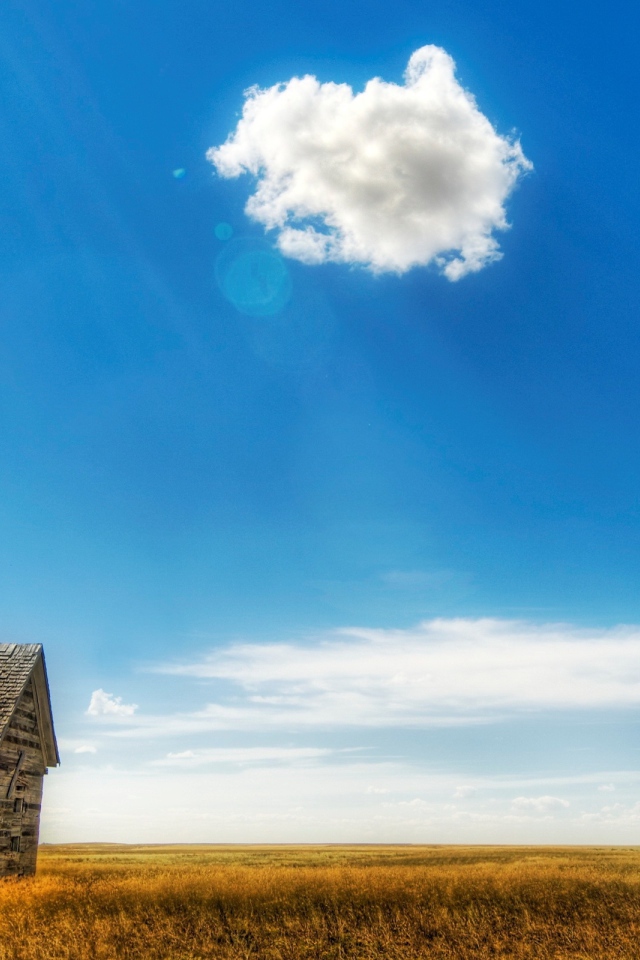 Старый сарай в поле