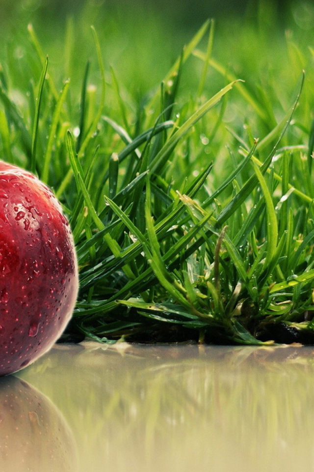 Сладкое яблочко