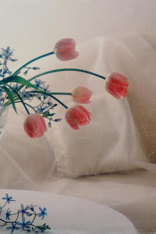 Тюльпаны в вазе