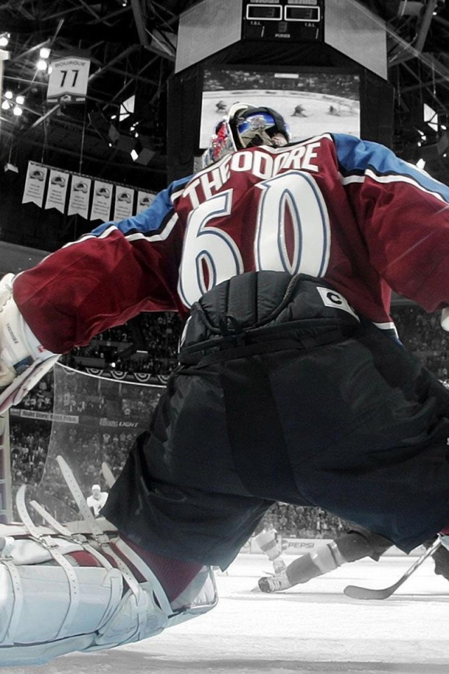 Жозе Теодор, НХЛ