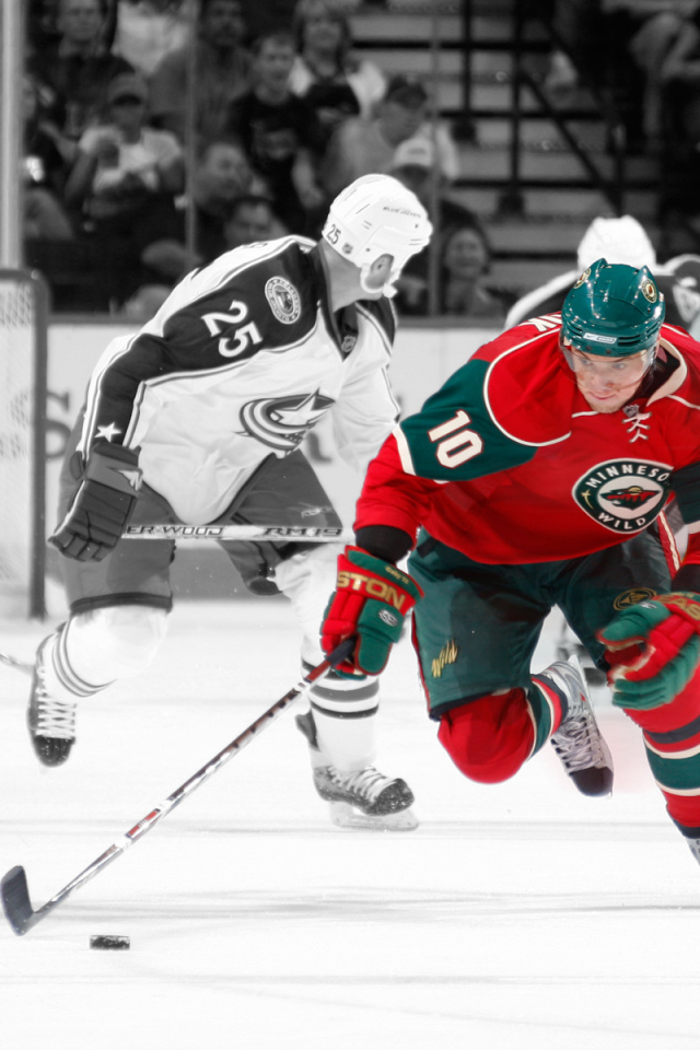 Minnesota Wild, NHL