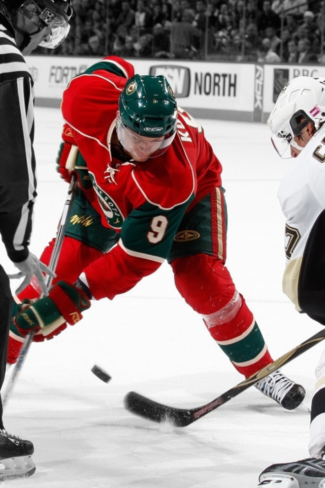 хоккей, лед, шайба