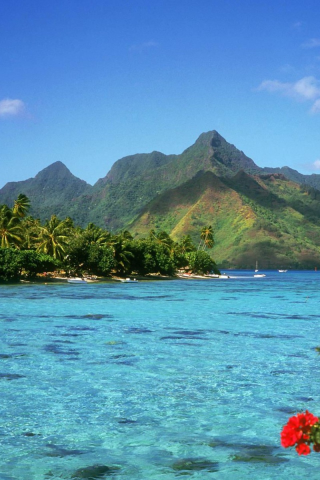 Путешествие на Багамы