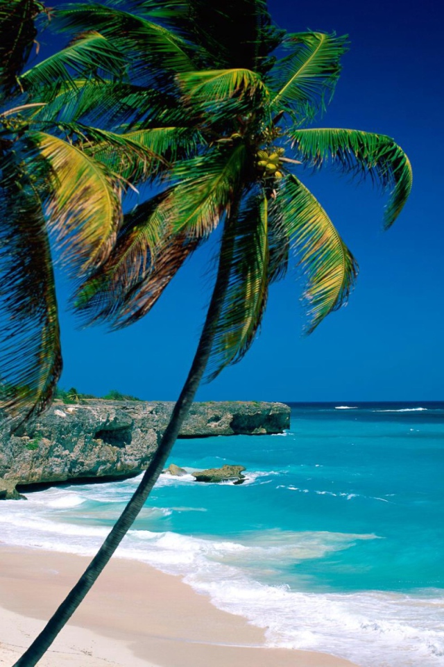 пляж Боттом Бэй Барбадос