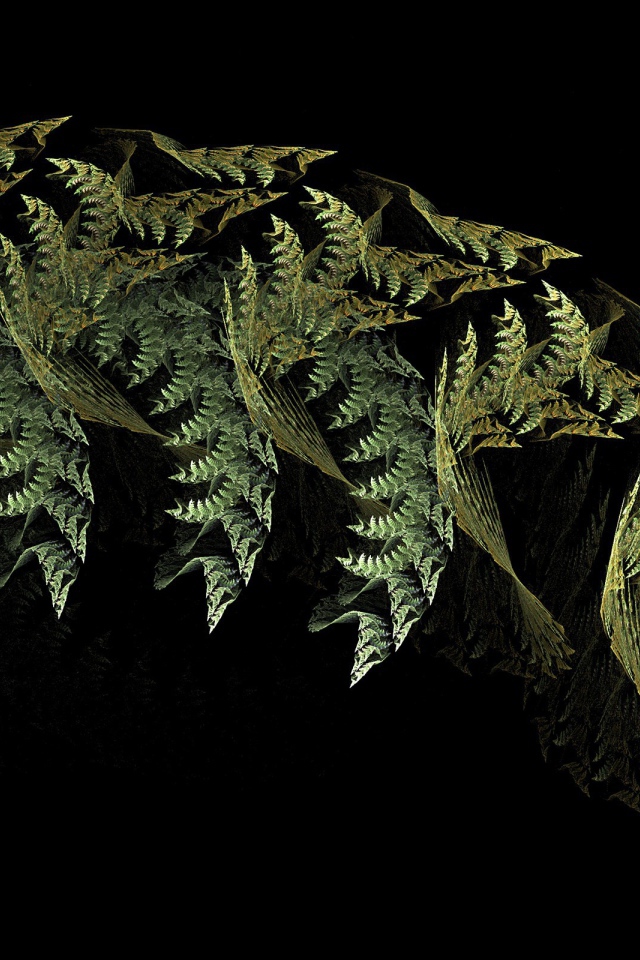 Листья папоротника